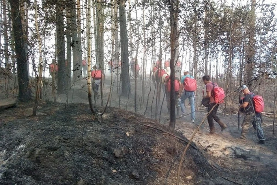На помощь пожарным пришли добровольцы. Фото: mari-el.gov.ru