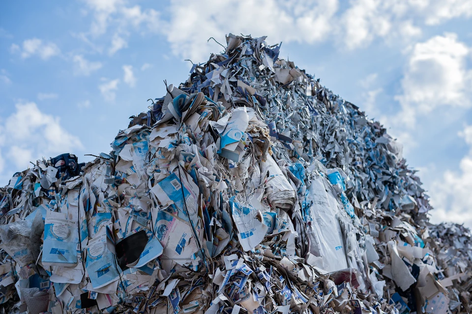 Если россияне не начнут утилизировать отходы в промышленных масштабах, место на свалках для хранения мусора закончится уже к 2024 году. Фото: Валерия ТИТОВА