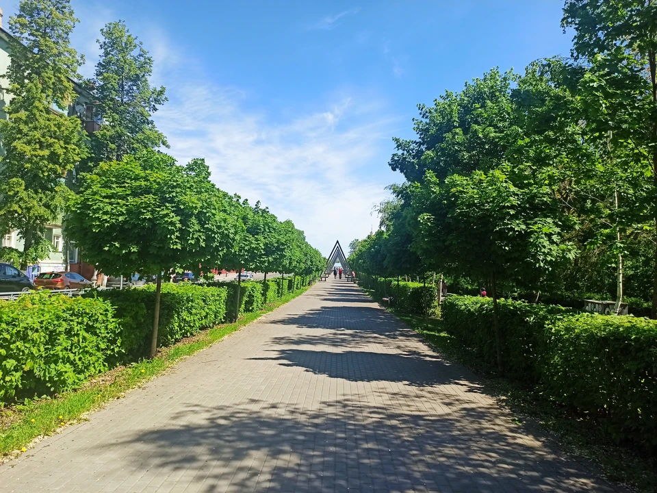 Фото из архива "КП".