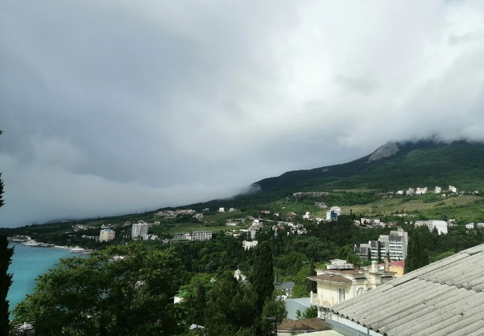 Сельское хозяйство в Крыму в этом году понесло убытки от непогоды