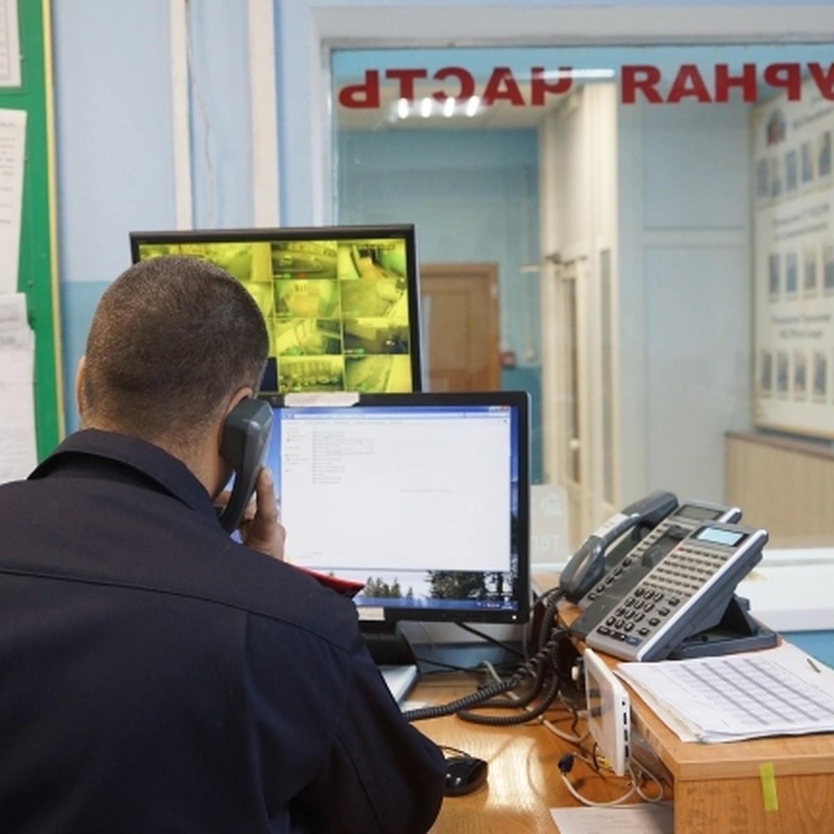 В Волгограде нашедшие массовое захоронение собак зоозащитники угрожают  расправой ветврачу горпитомника - KP.RU