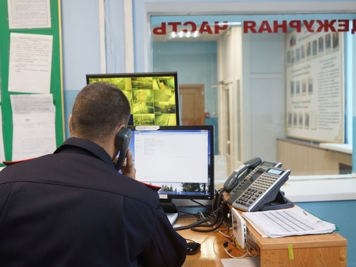 В Волгограде нашедшие массовое захоронение собак зоозащитники угрожают  расправой ветврачу горпитомника - KP.RU