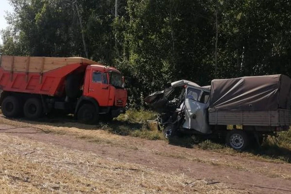В Коченевском районе, днем 28 августа, произошло ДТП со смертельным исходом. Фото: Госавтоинспекция по Новосибирской области