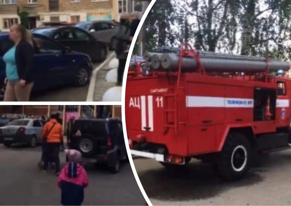 Фото: скриншот видео