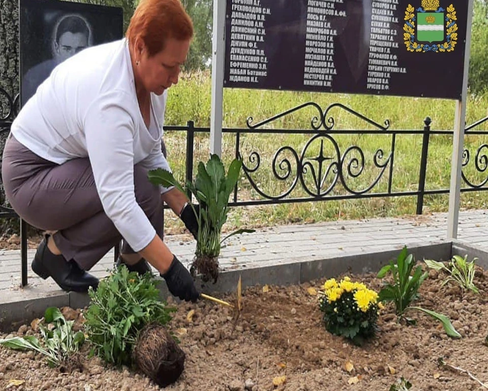 Внучка сажает на могиле своего деда саженцы.