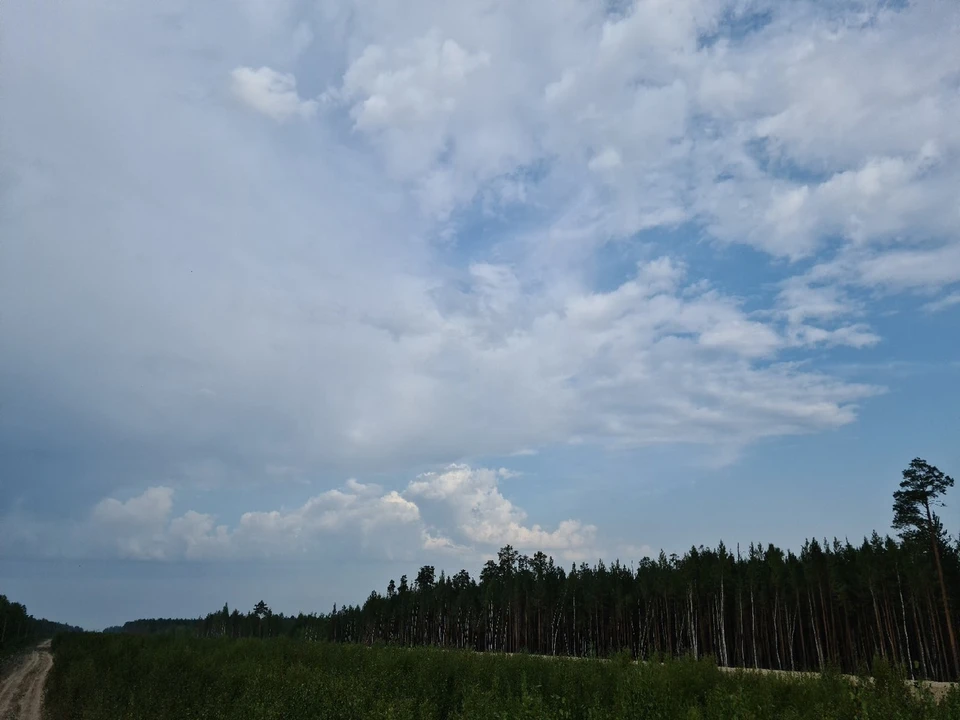 Погода в Югре на 3 сентября 2021 года: небольшой дождь