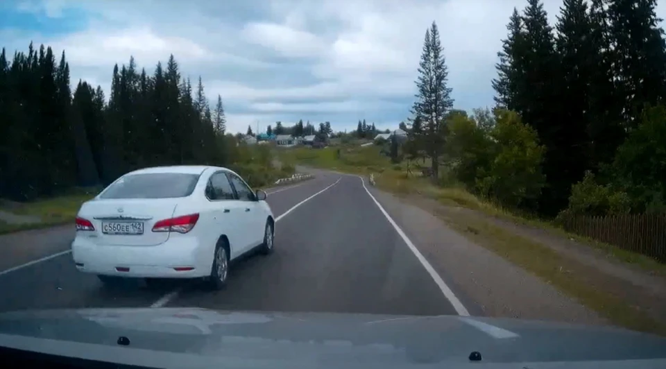 На видеоролике было четко видно номера автомобиля, водитель которого нарушил ПДД. Фото: ГУ МВД России по Кемеровской области.