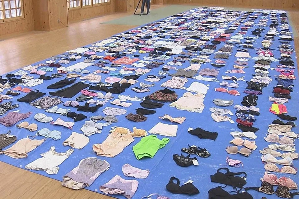 В Японии мужчина попался на краже 730 предметов нижнего белья. Фото: Beppu City Police Office