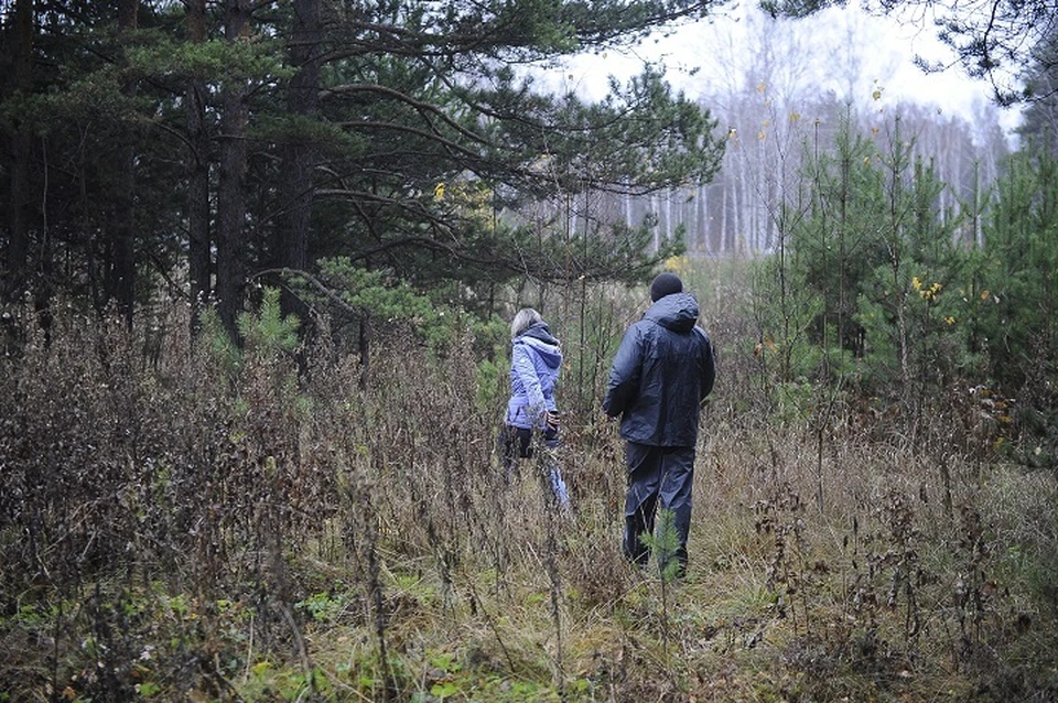 Люди шли в лес без телефона и терялись.