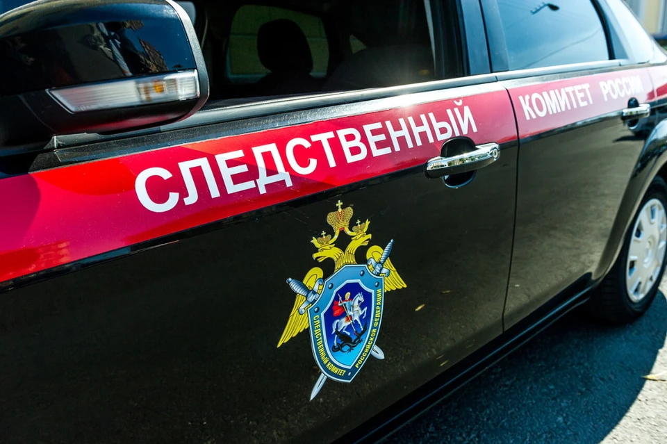 СУ СК по Ленобласти похвалил Александр Бастрыкин.