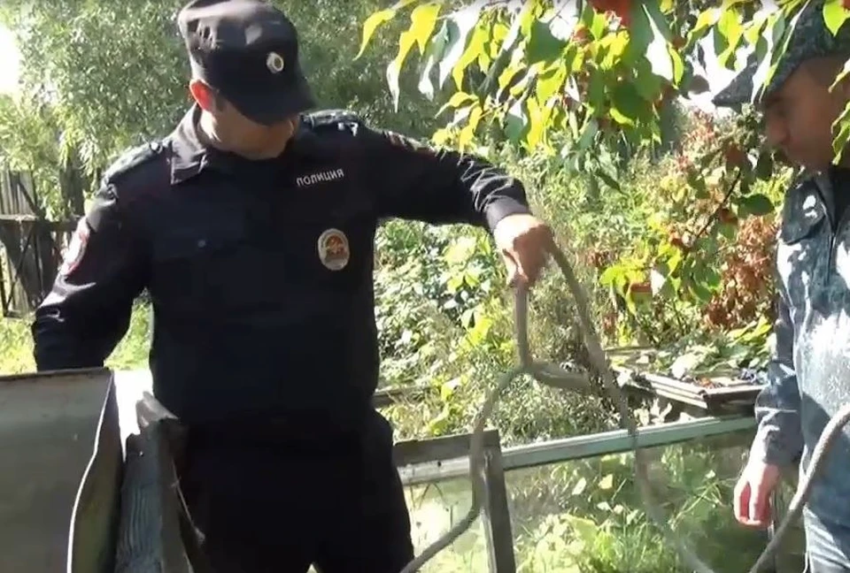 Полицейские спасли тюменку, которая провалилась в колодец и простояла в ледяной воде восемь часов. Скриншот из видео.