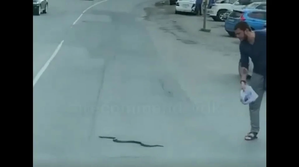 Фото: Скриншот из видео.