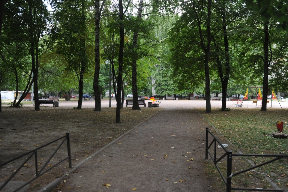 Петербургские сады и парки закрыли 13 сентября из-за шторма