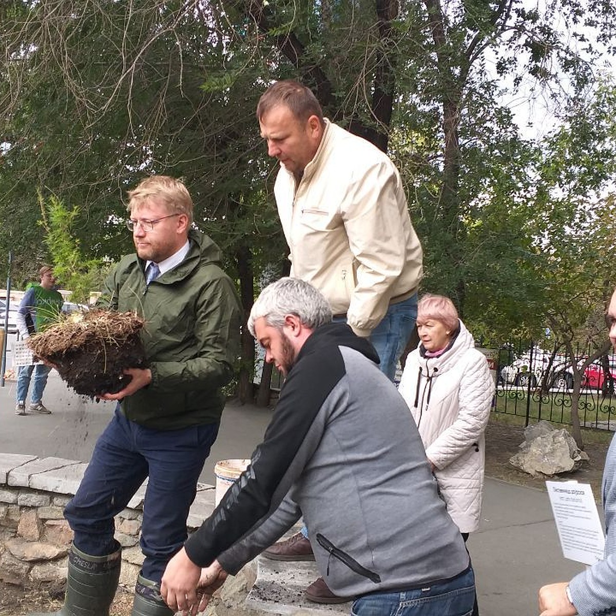 В Челябинске самовольно высадили даурскую лиственницу на месте, где  100-летнее дерево незаконно срубили чиновники - KP.RU