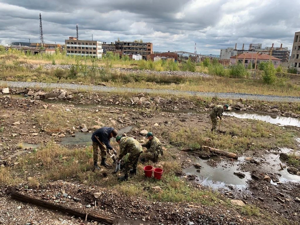 фото: Росприроднадзор