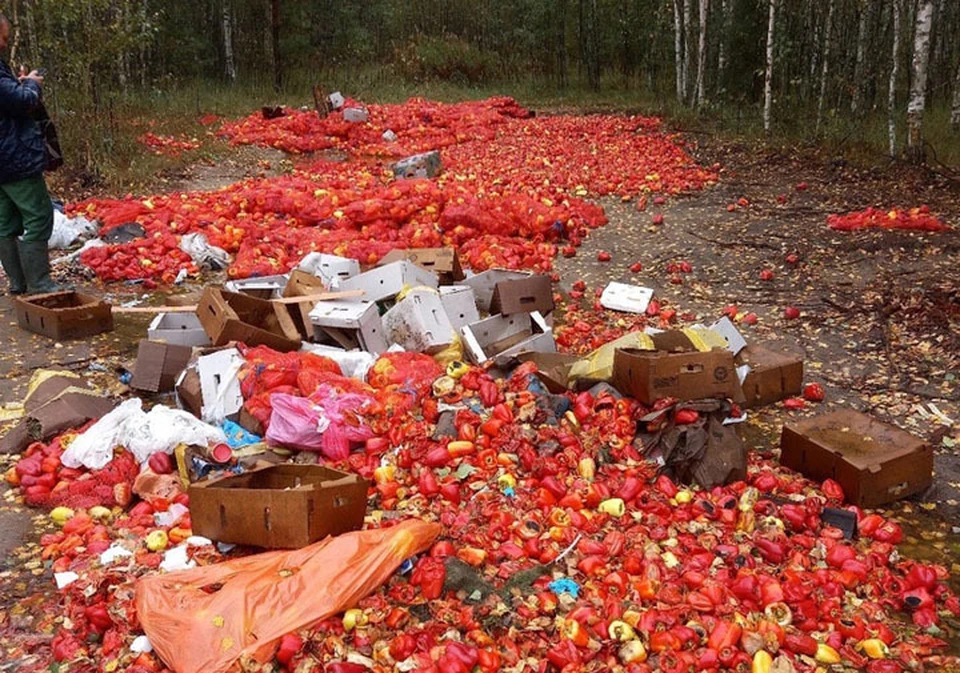 Огромную свалку перцев нашли возле деревни Гавриловка. ФОТО: "Нижний Новгород. Без цензуры"
