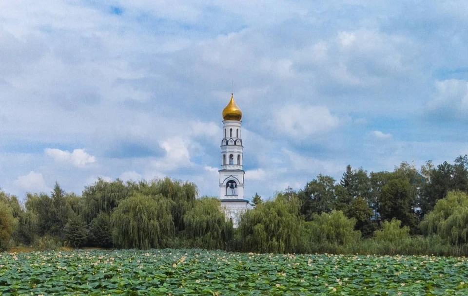 Фото: marakasov_dmitriy