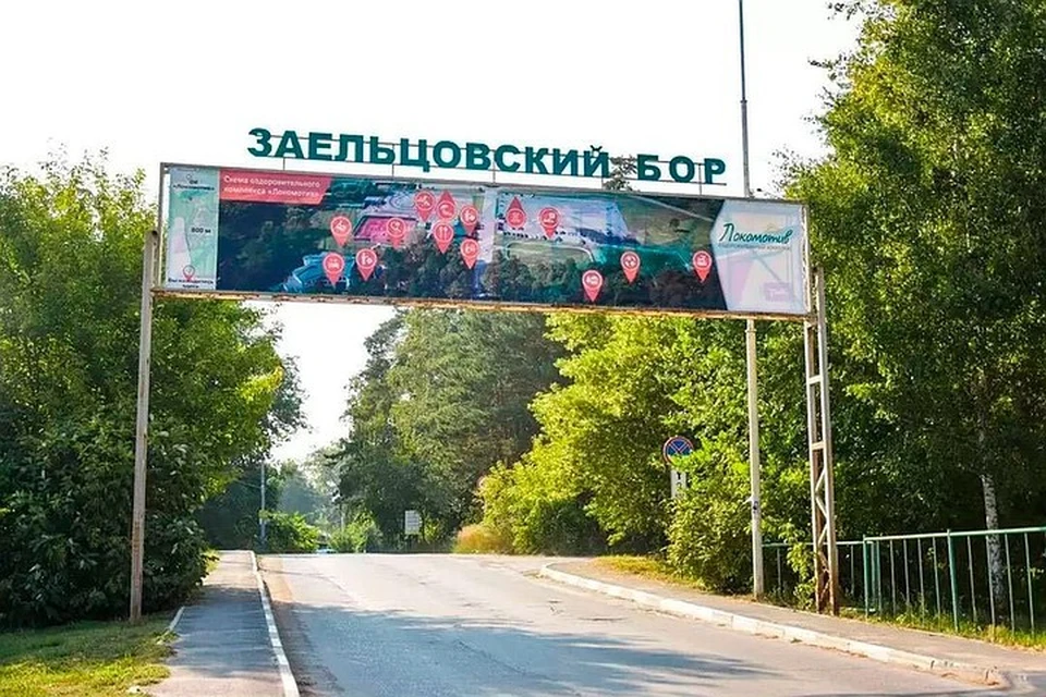 Судьба Заельцовского бора вызывает новые вопросы.