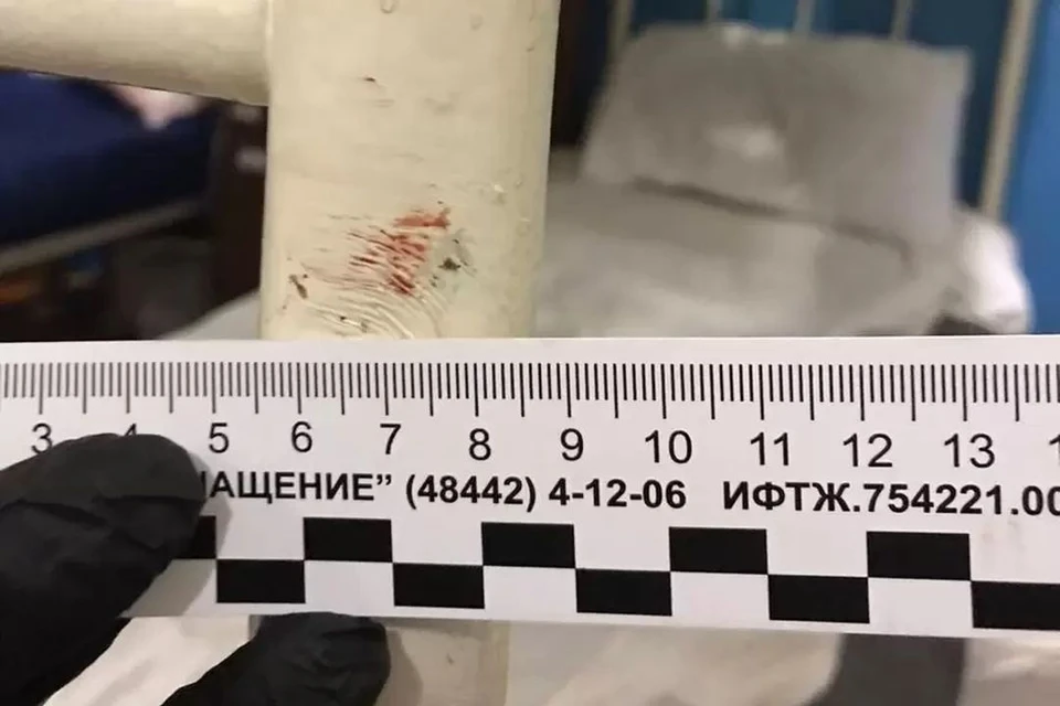 Вора-рецедивиста убили в камере. Фото: СК по Новосибирской области.