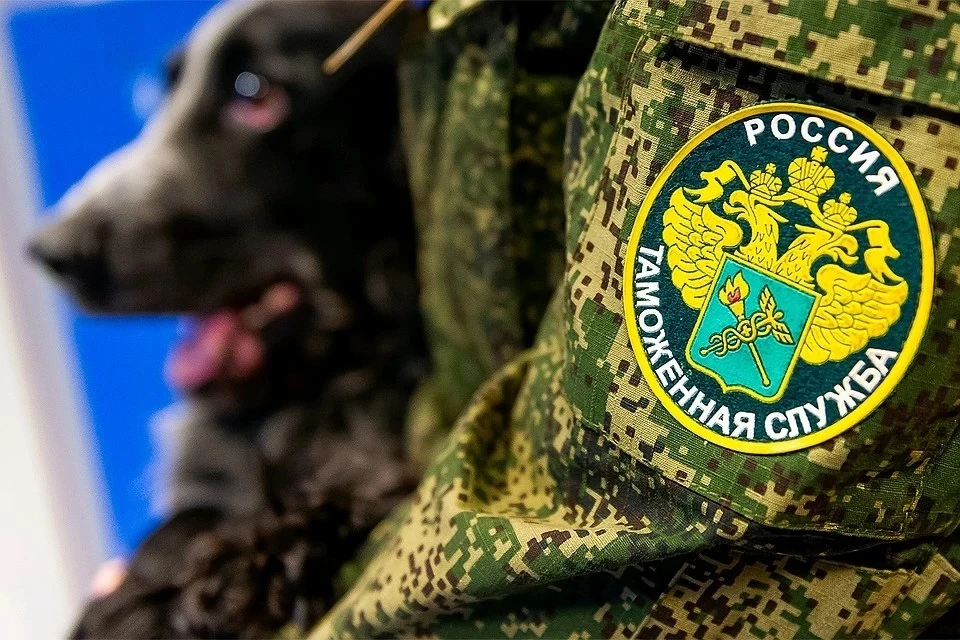 Объем денег, незаконно перевозимых через границу, вырос в 10 раз