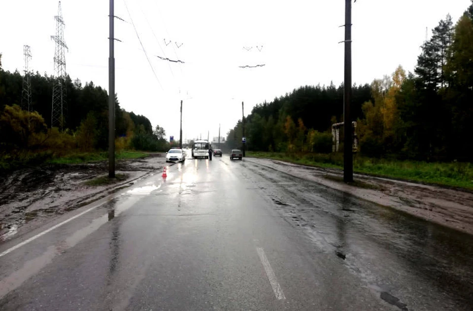 Водитель ночью сбил велосипедиста и сбежал с места ДТП. Фото: сайт УМВД России по Томской области