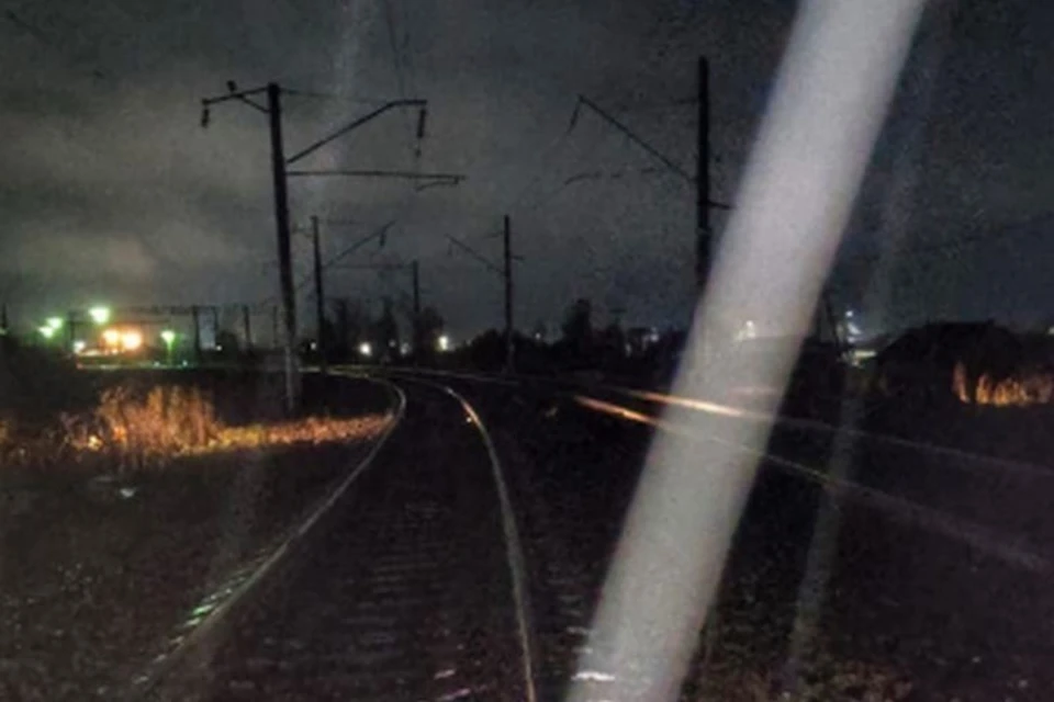 В Красноярском крае мужчина попал под грузовой поезд. Фото: УТ МВД