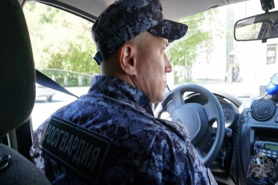 Злоумышленника задержали во время патрулирования городских улиц. Фото: 43.rosguard.gov.ru