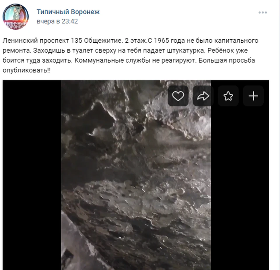 Потолок туалета общежития на Ленинском проспекте того и гляди рухнет.