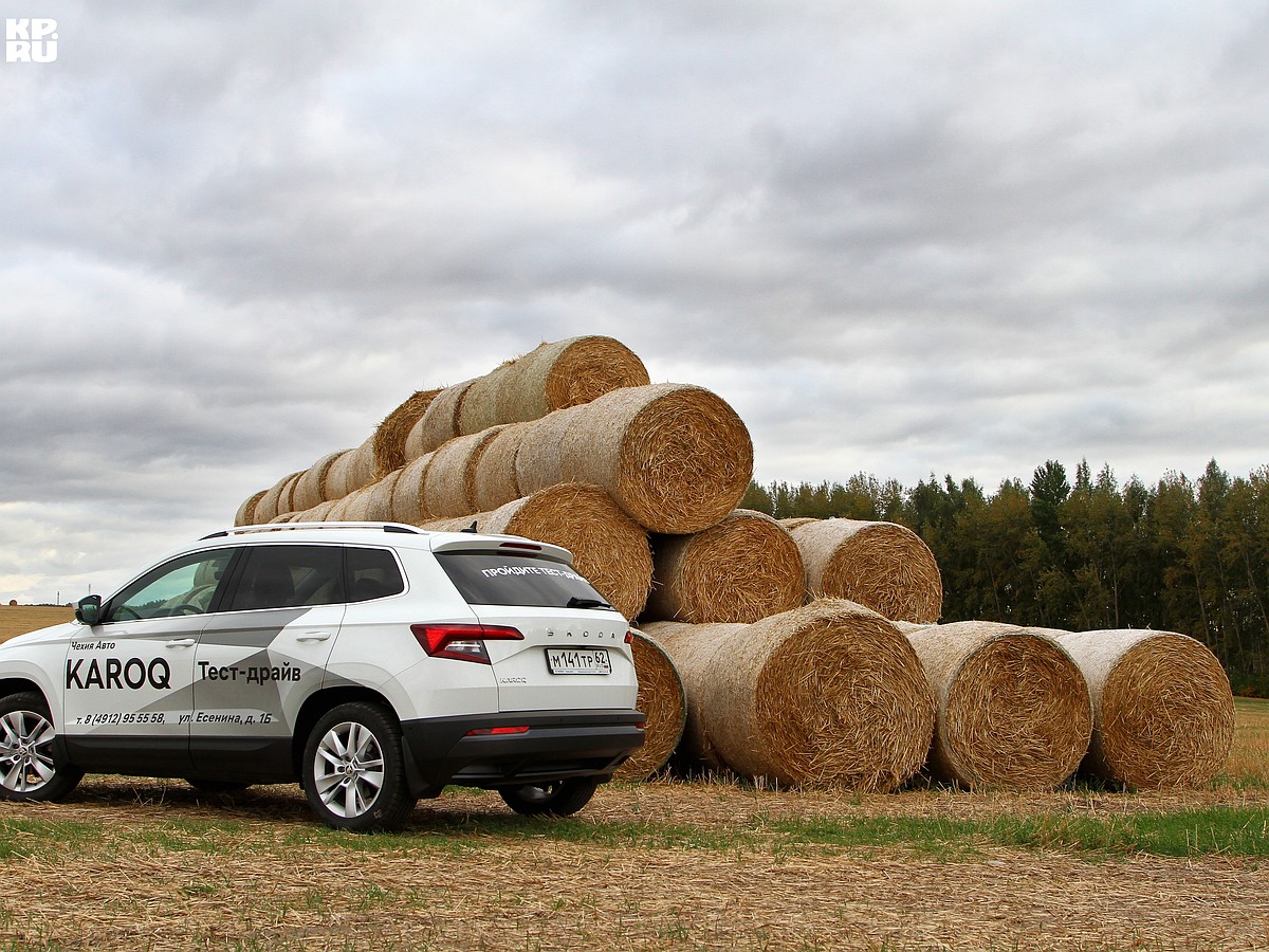 SKODA KAROQ не даст промокнуть и захандрить нынешней осенью - KP.RU