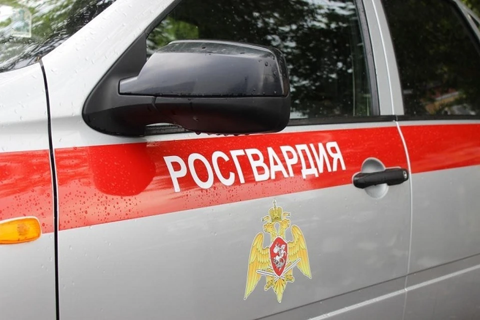 Фото: пресс-служба Росгвардии Свердловской области