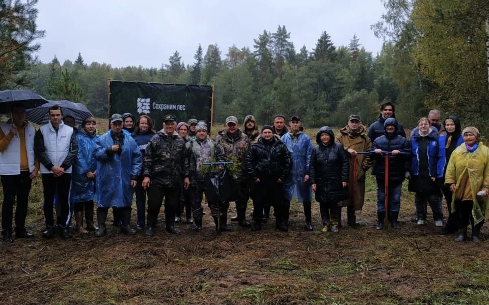 Более 10 тысяч деревьев высадили в Кардымовском районе в рамках акции «Сохраним лес». Фото: страница губернатора Алексея Островского в соцсетях.