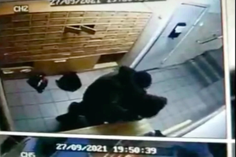 Соседи написали заявление друг на друга. Фото: скриншот из видео
