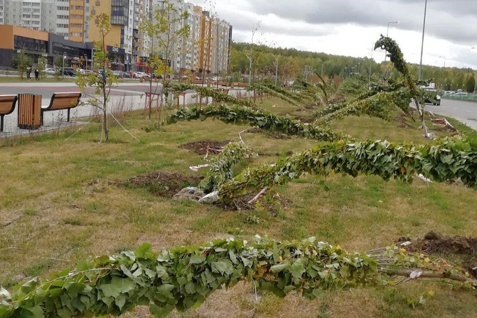 Замена растений в сквере на Академика Королева. Фото: мэрия Челябинска.