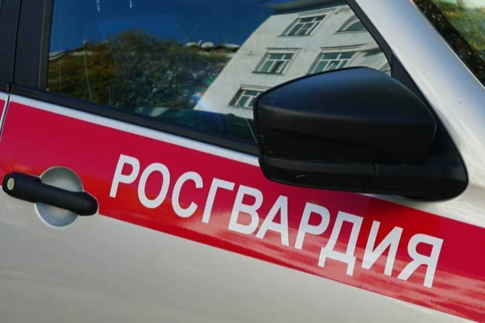 Патрульная машина Росгвардии прибыла на место через несколько минут после тревожного сигнала. Фото: 43.rosguard.gov.ru