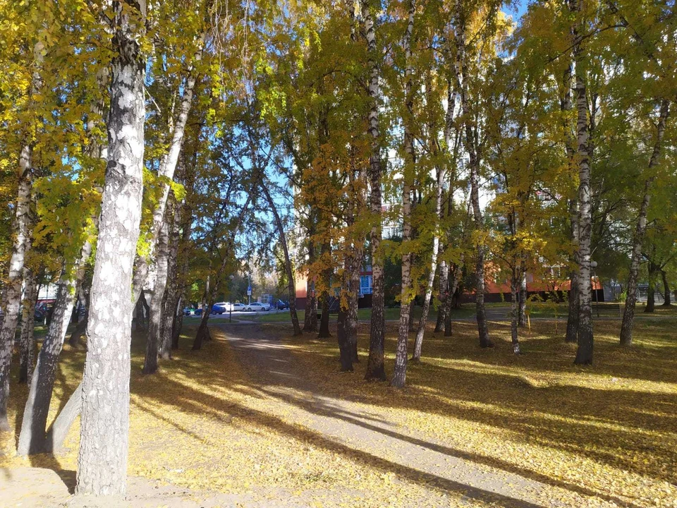 В Югре преимущественно без осадков.