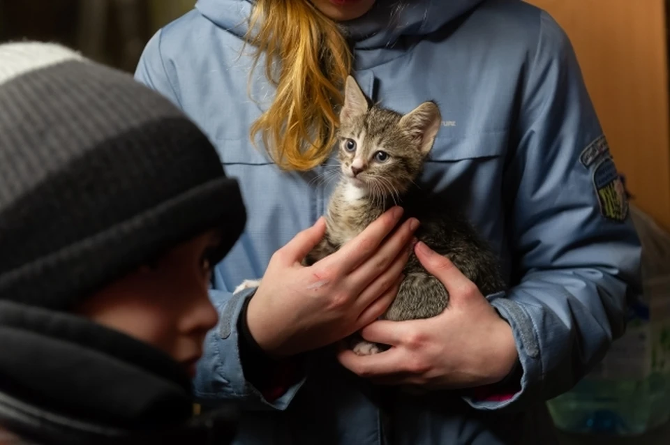 Один из котят просидел в заточении около суток