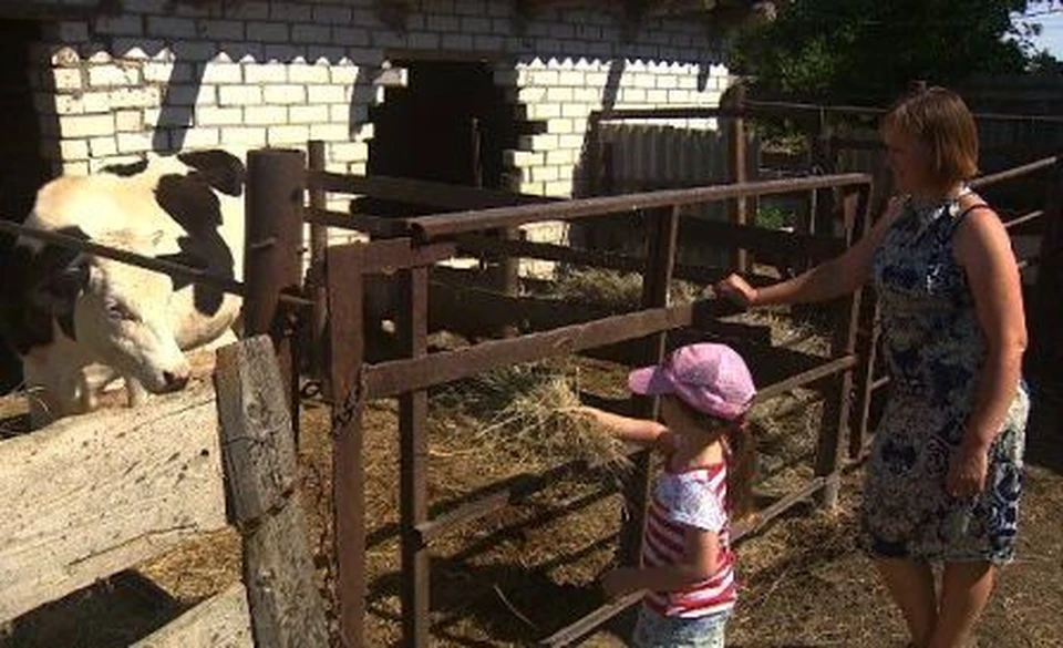 Фото: пресс-служба губернатора Костромской области