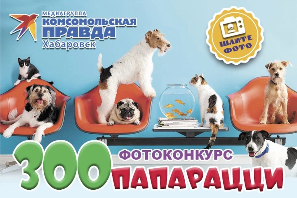 «КП-Хабаровск» объявляет о старте фотоконкурса «Зоопапарацци»
