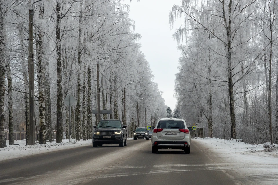 Снег накрыл Ленобласть 19 октября