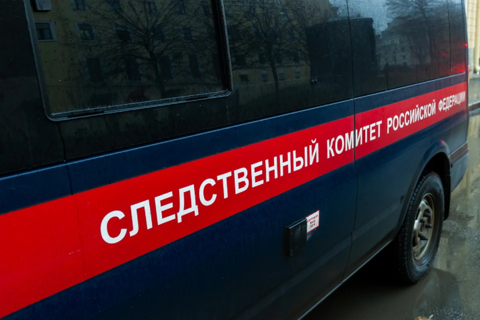 Следственный комитет возбудил уголовное дело по результатам проверки.