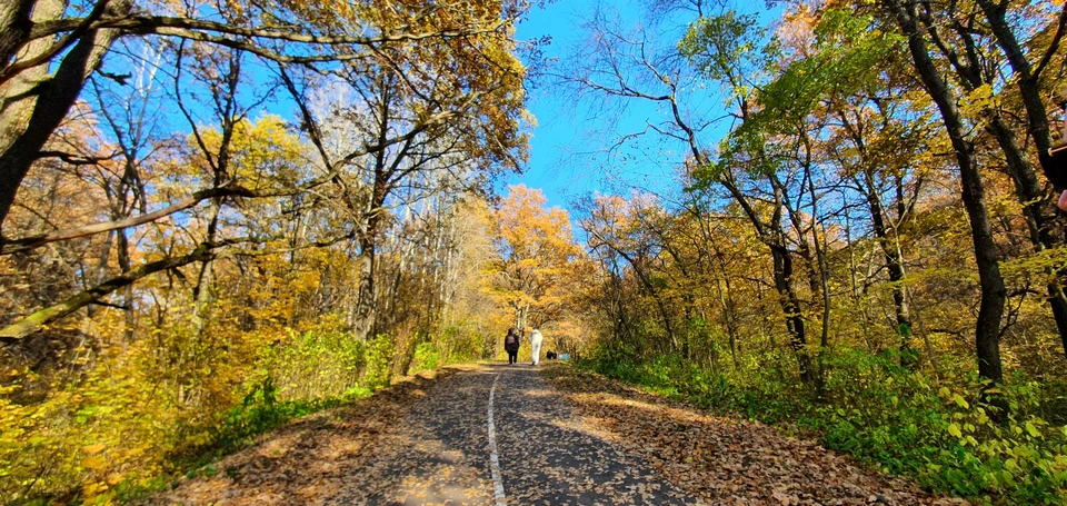 Завтра в Белгородской области заметно потеплеет. фото: Артем Гребеник.
