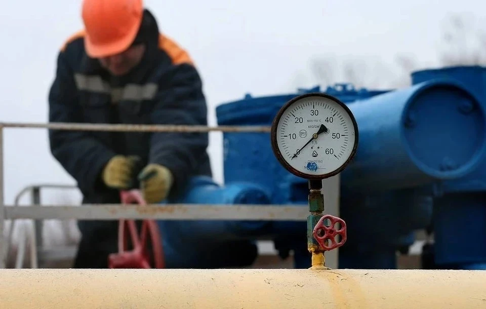Глава МИД Украины призвал Германию ответить на «газовый шантаж» России Фото: ТАСС
