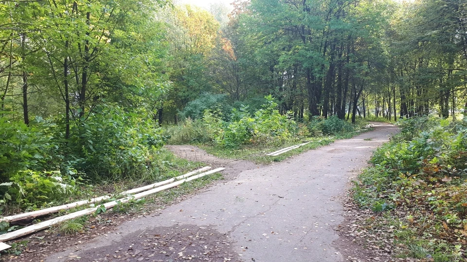 Парк, где нашли орхидею. Фото Полины Артюх.