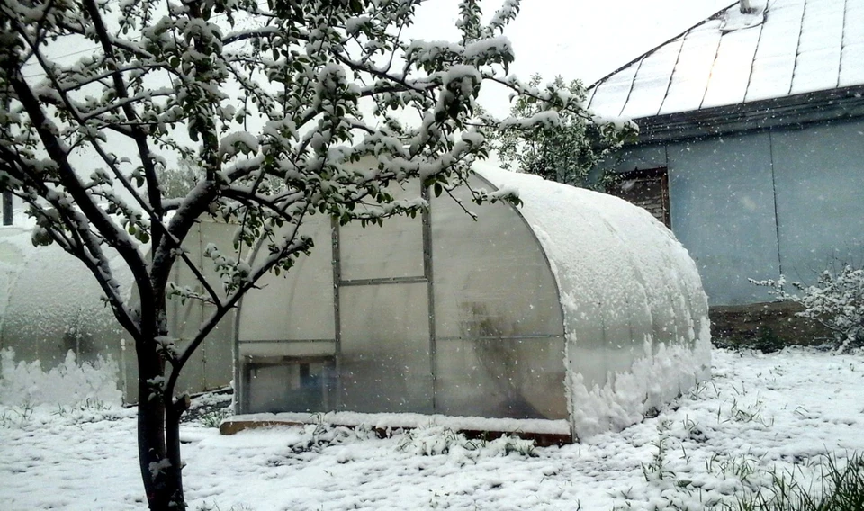 Вот Томск и дождался снега...