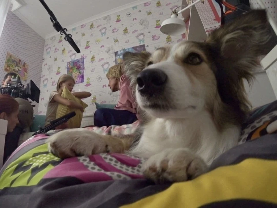 В Новороссийске завершились съемки сериала с Еленой Яковлевой Фото: instagram.com/dog_nvrsk/