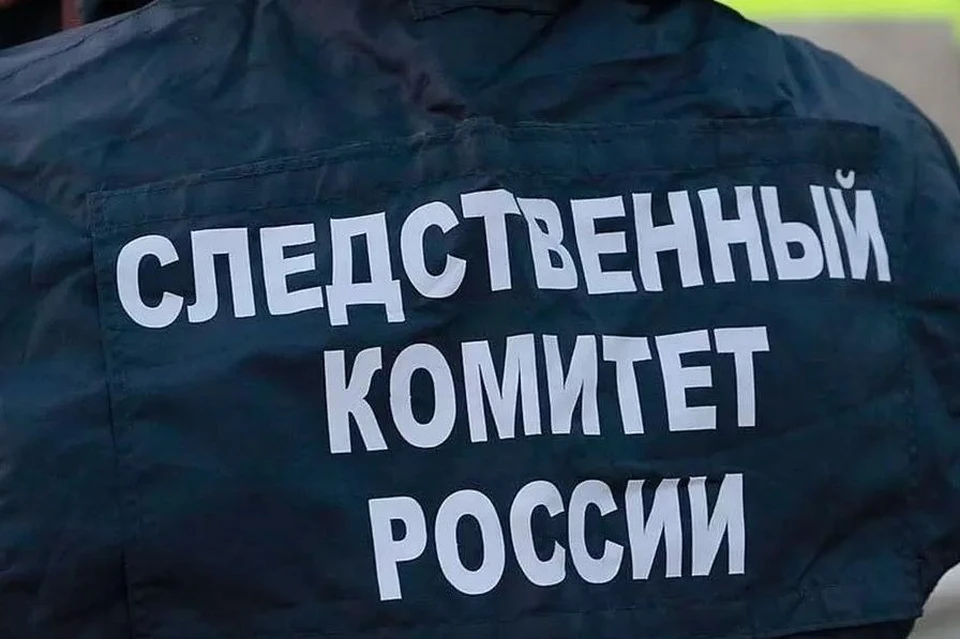 По результатам проверки примут процессуальное решение