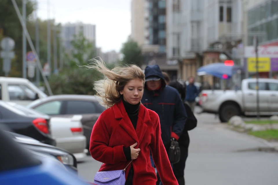 В Петербург в первую неделю ноября придет неожиданное потепление.