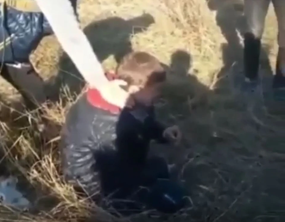 В Хабаровском крае подростки жестоко избили ребенка