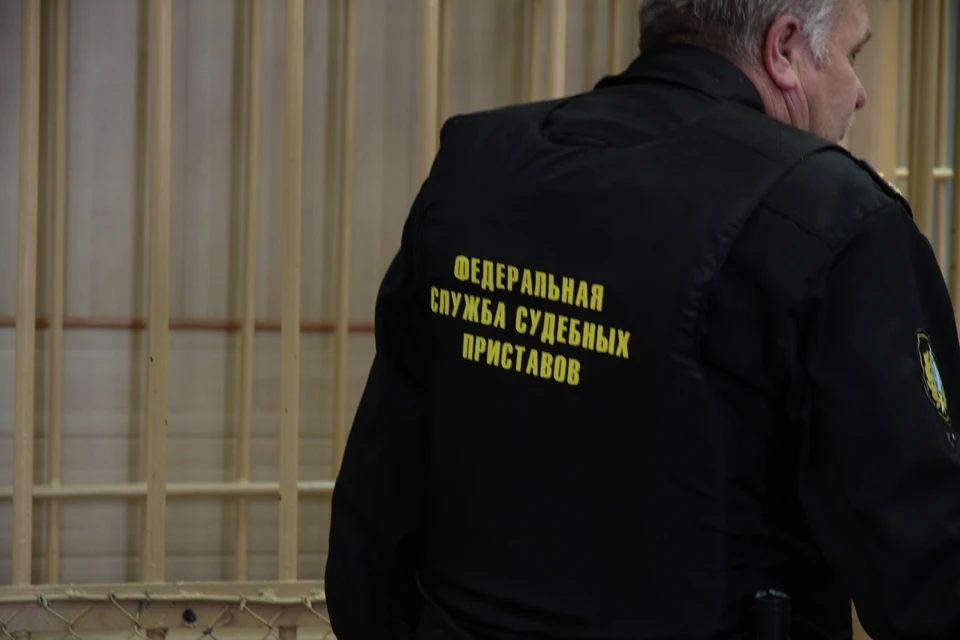 Сибиряка оштрафовали на 40 тысяч рублей за оскорбление судебного пристава