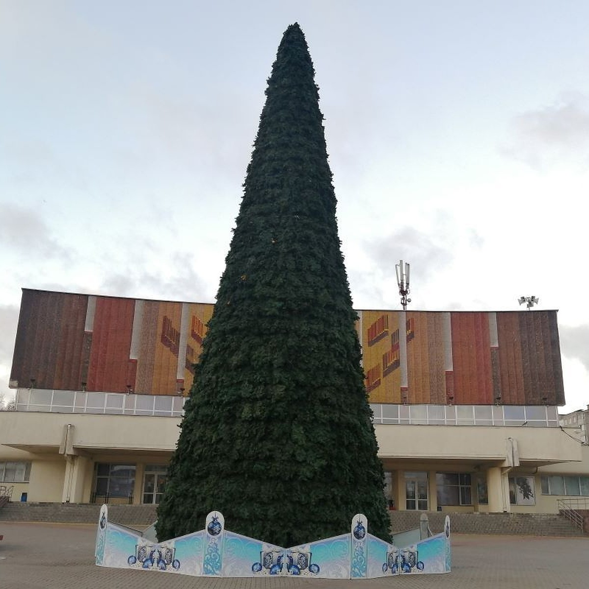 Фотофакт: в Минске начали ставить новогодние елки - KP.RU